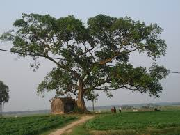 故郷のメロディー